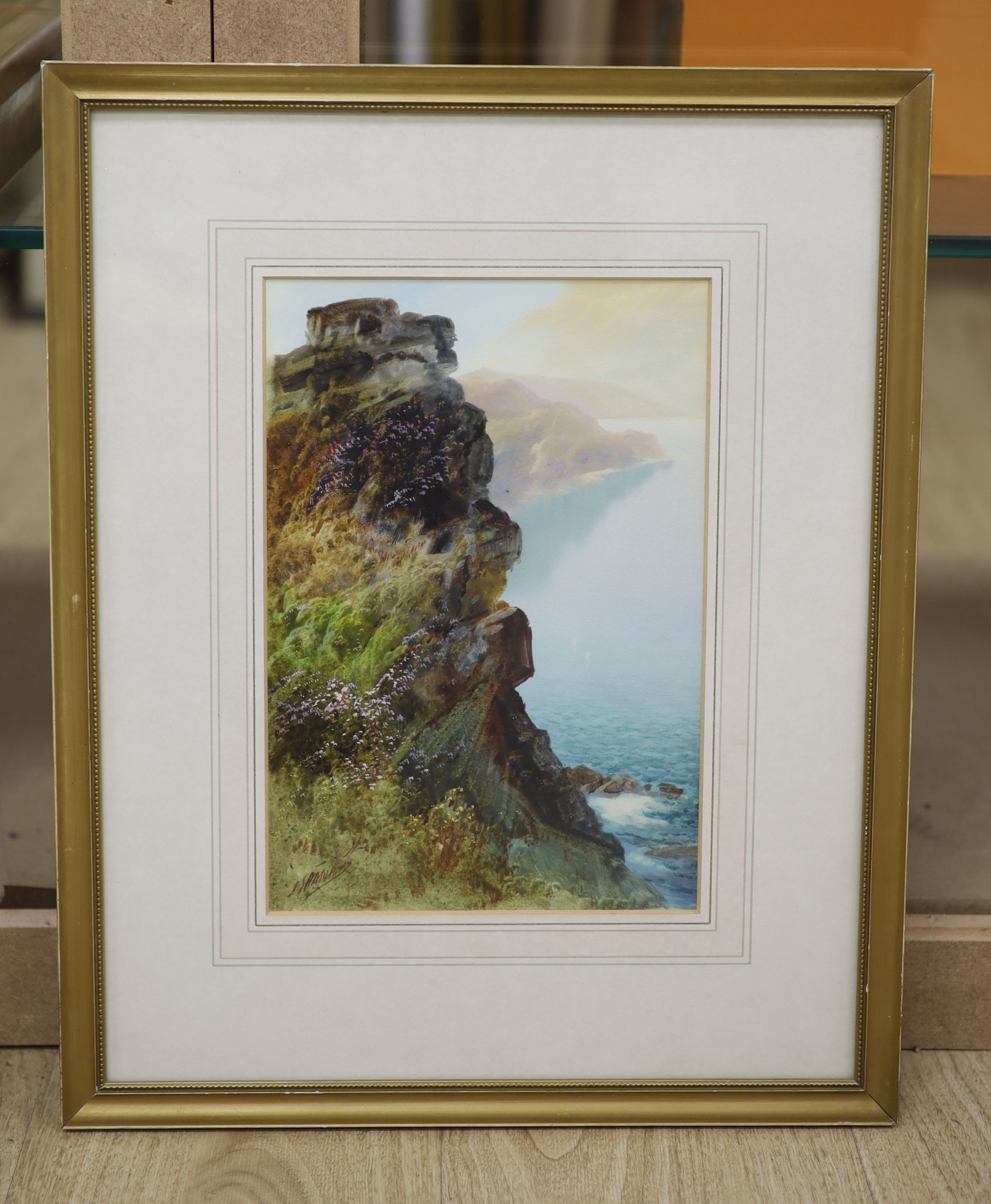 John Shapland, watercolour and gouache, Sea Cliffs, signed, 28 x 19cm